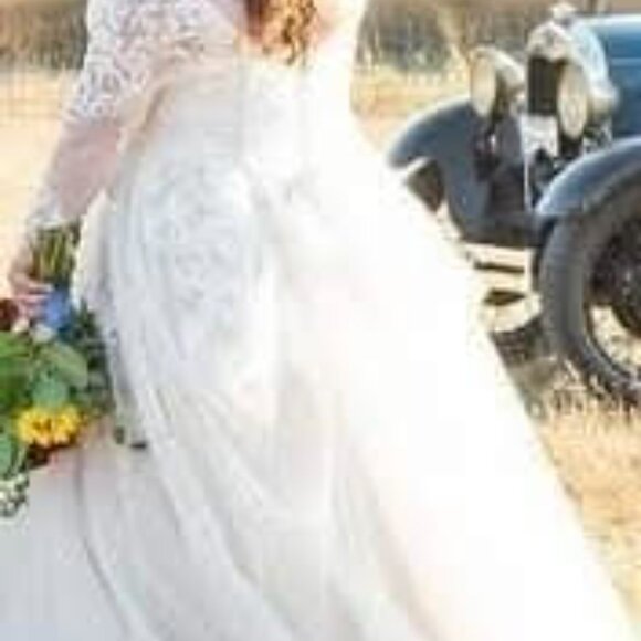 David's Bridal Collection Wedding Dress with Train - Picture 1 of 9